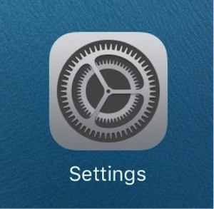 iOS Settings icon